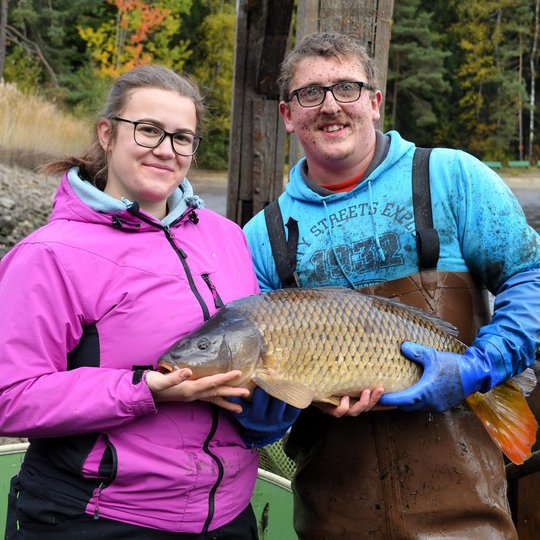 Hofbauer's Waldviertler Fische Titelbild